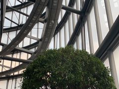 -上海中心大厦