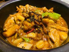 黑松露牛肝菌焖牛蛙-云海肴·汽锅鸡·云南菜(美罗城店)