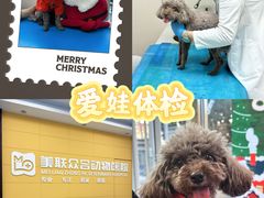 -美联众合爱康动物医院•复杂内科•肿瘤科•牙科•腔镜诊疗中心