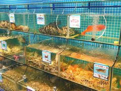 水产区-范饭椰林川湘味海鲜·椰子鸡(三亚湾椰梦长廊店)