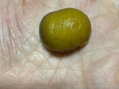 -阿男野栗王(金门路店)