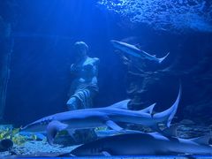 -太平洋海底世界