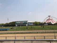 -野生动物园-停车场