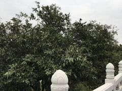 -广州市白云山风景名胜区