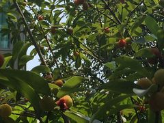 -上海昆虫博物馆