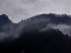 -秦岭服务区餐厅(京昆高速店)