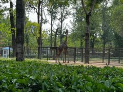 -北京动物园