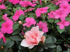 -龙环葡韵住宅式博物馆