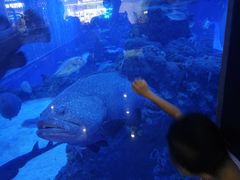 -成都浩海立方海洋公园