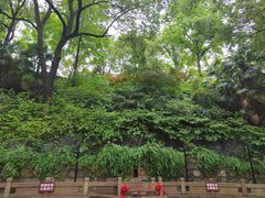 -白沙古井