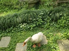 -天禄堂西溪庄园