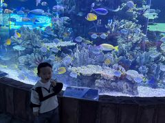 -左海海底世界