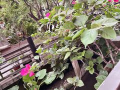 -鹅滋道(甘坑古镇店)