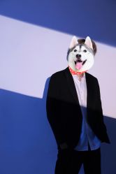-花屿迷鹿写真馆