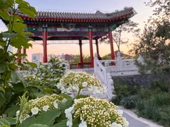 -西海子公园