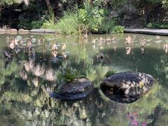 -燕晗山郊野公园