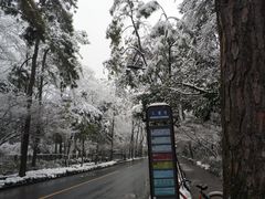 -中国人民解放军联勤保障部队第九〇三医院(九里松院区)