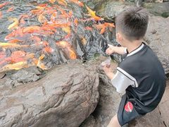 -山海关风景区-售票处
