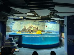 -梦幻海洋王国(吾悦广场张家港店)