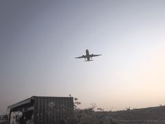 -空港花田景区