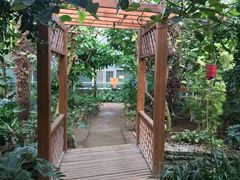 -呀路古热带植物园