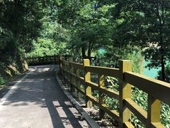 -广州市流溪河国家森林公园
