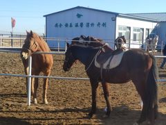 -沈阳静安马场