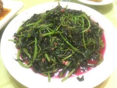 苋菜-八景休閒山莊  廣東十大名山莊