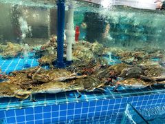 -蓝珊甄选海鲜自助·火锅大排档(近阿那亚店)
