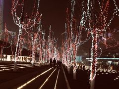 -南京眼步行桥