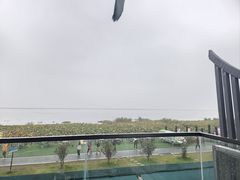 -七的湖·晚芳亭·阳澄湖农家菜·大闸蟹(莲花岛店)