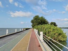 -贡湖湾湿地公园