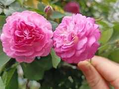 -欢乐迪KTV(南京夫子庙三山街店)