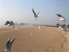 -老虎石海上公园