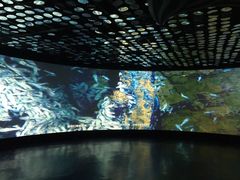 -同济大学四平路校区深海探索馆