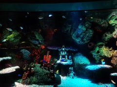 -沈阳海洋探索中心