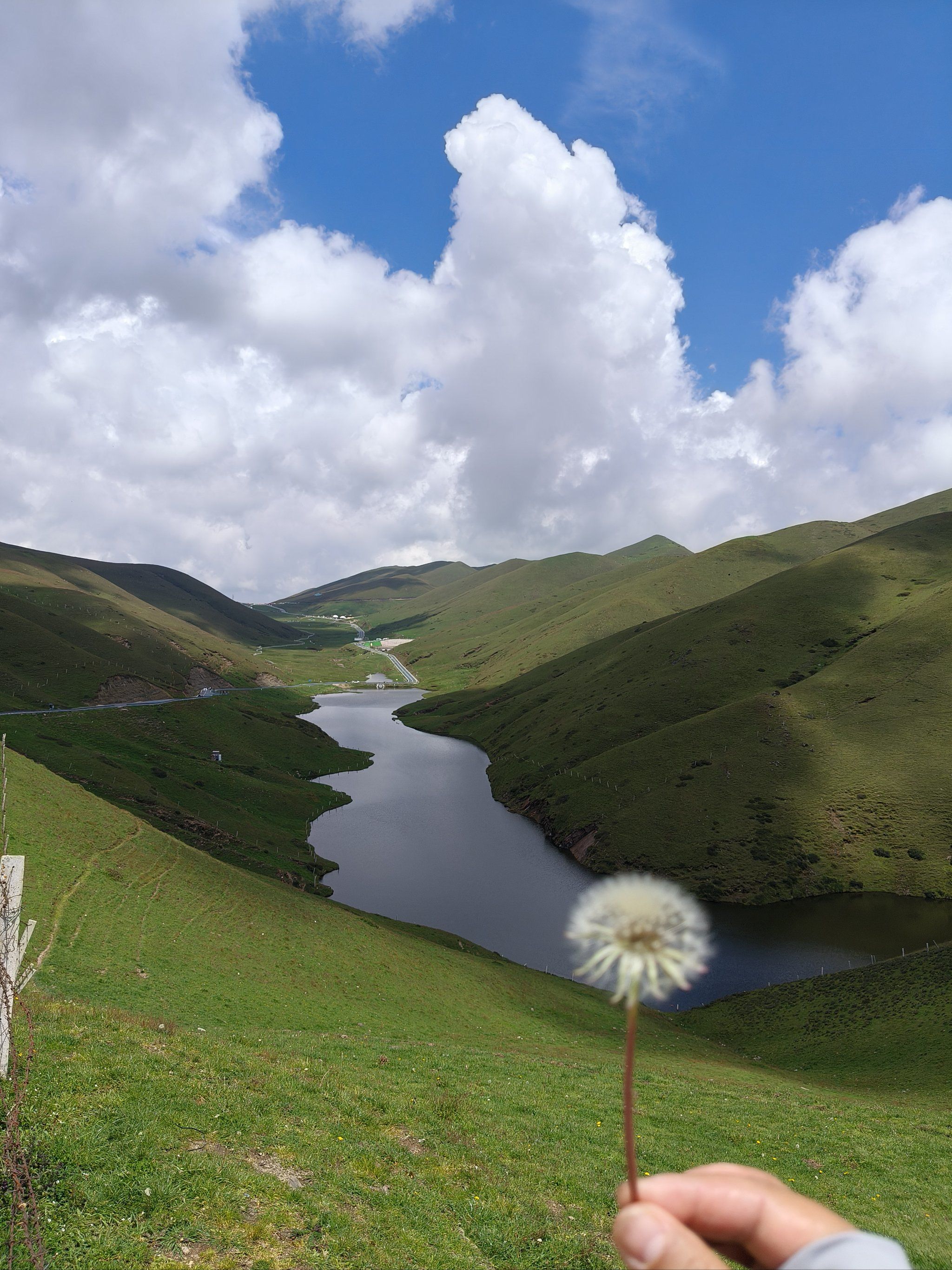 n也可以做电瓶车.一路美景无限.
很幸运遇到一群可爱的羊群.