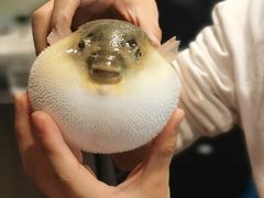 -肆月河豚·新淮扬(金融街店)