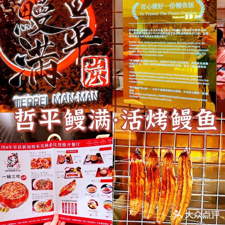 鳗鱼爱好者的福音！哲平鳗鱼强势来袭！