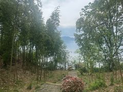 -千岛湖东南湖区