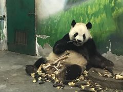 -无锡动物园·太湖欢乐园