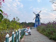 -铁山坪森林公园