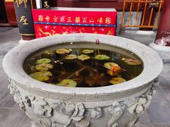 -天津市峰山药王古寺