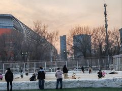 -沈阳奥体冰雪嘉年华