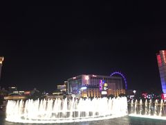 -拉斯维加斯O秀