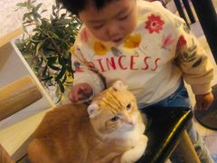 -平行世界·猫咖(首经贸店)
