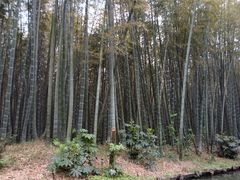 -同里国家湿地公园