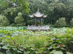 -古隆中景区