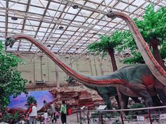 -国家自然博物馆