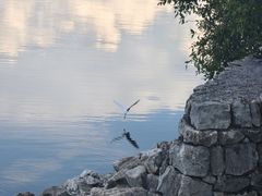 -抚仙湖禄充风景区
